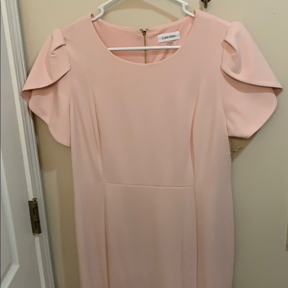 NWT Calvin Klein Dress with Petal Sleeves